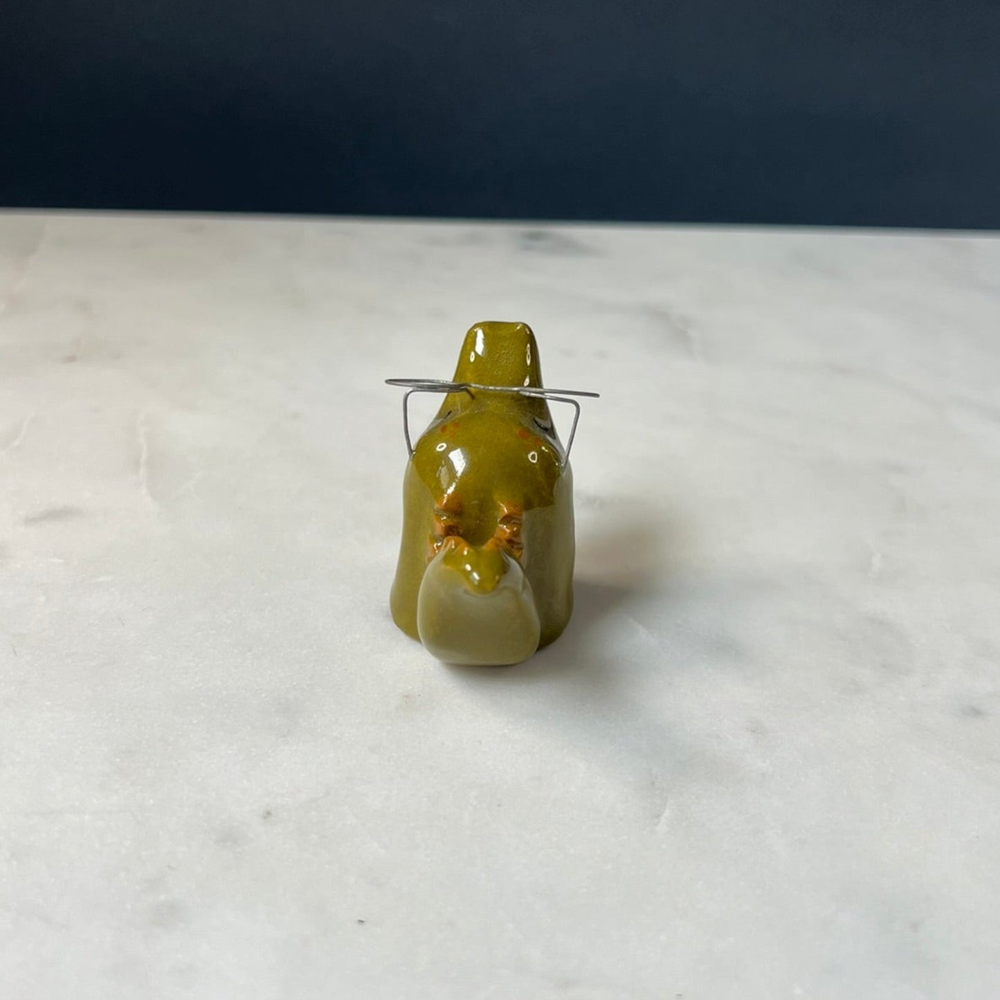 A Well Read Alligator