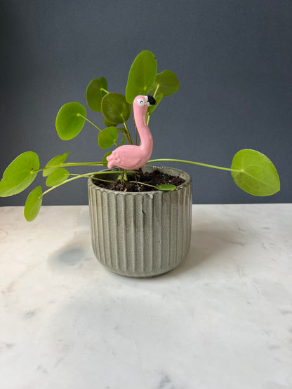 Potted plant with a pink flamingo figurine on a marble surface against a gray background