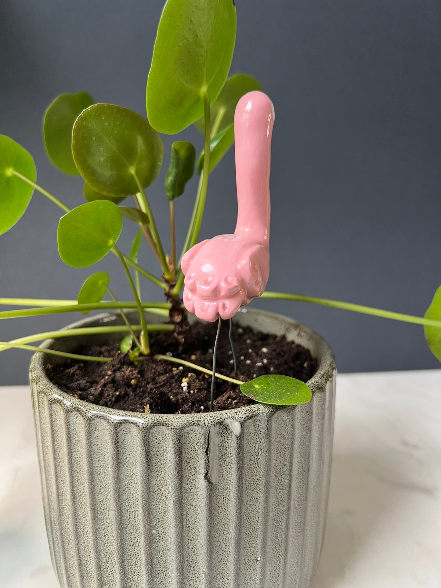Pink flamingo in a pot with green leaves against a gray background