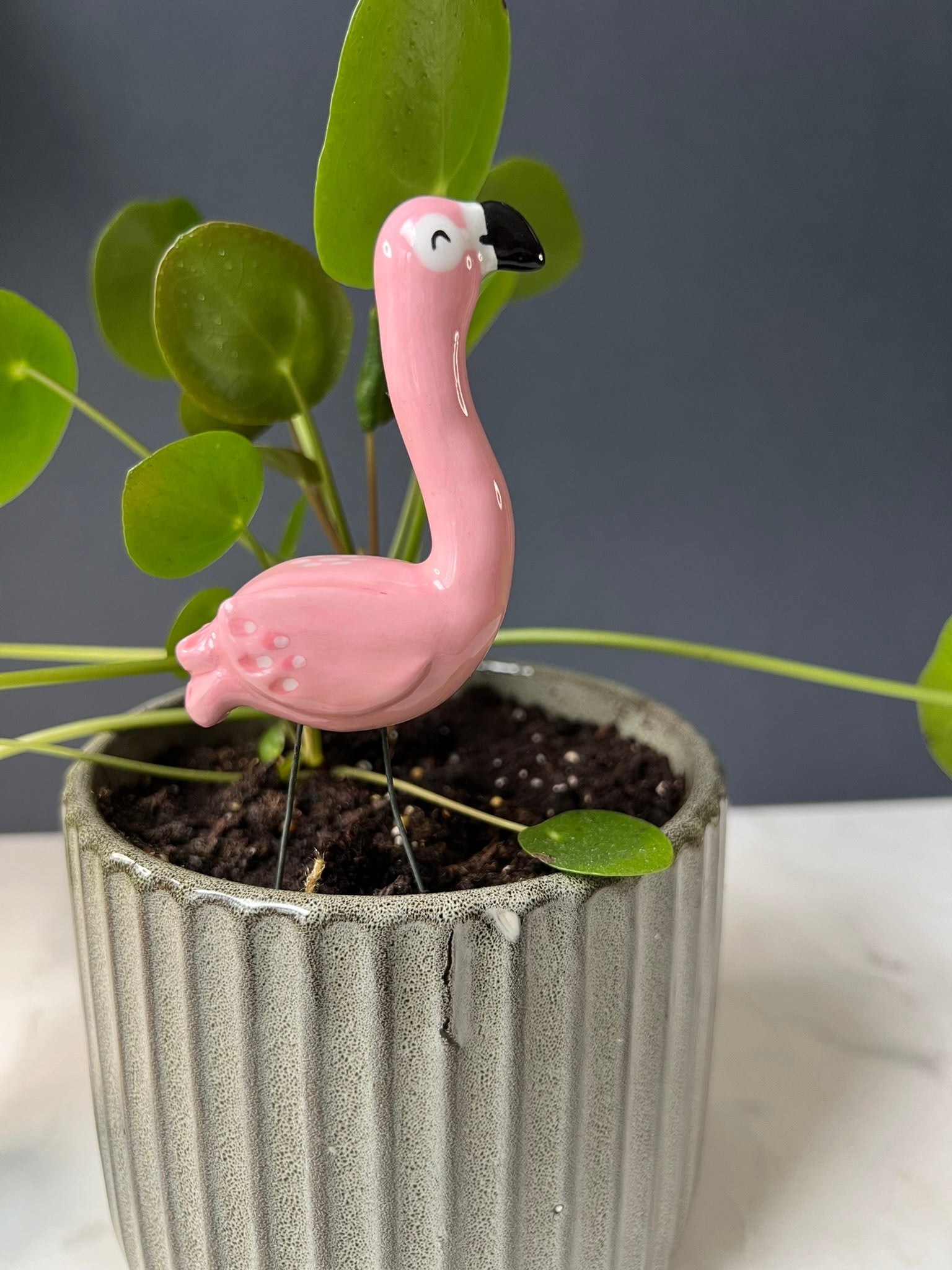 Pink flamingo plant stake in a pot with green leaves on a neutral background