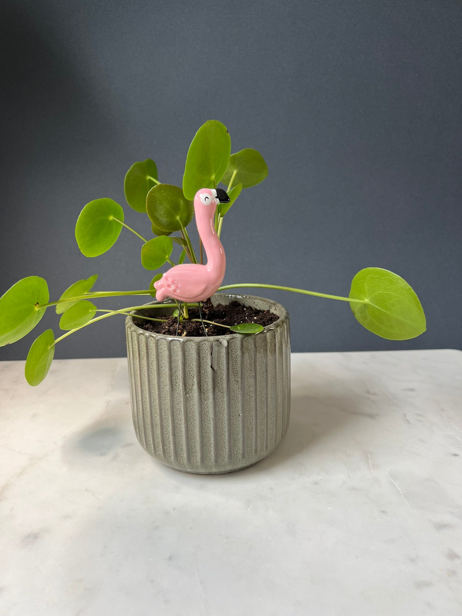 Planter Buddy flamingo