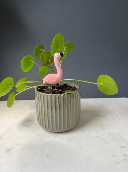 Planter Buddy flamingo
