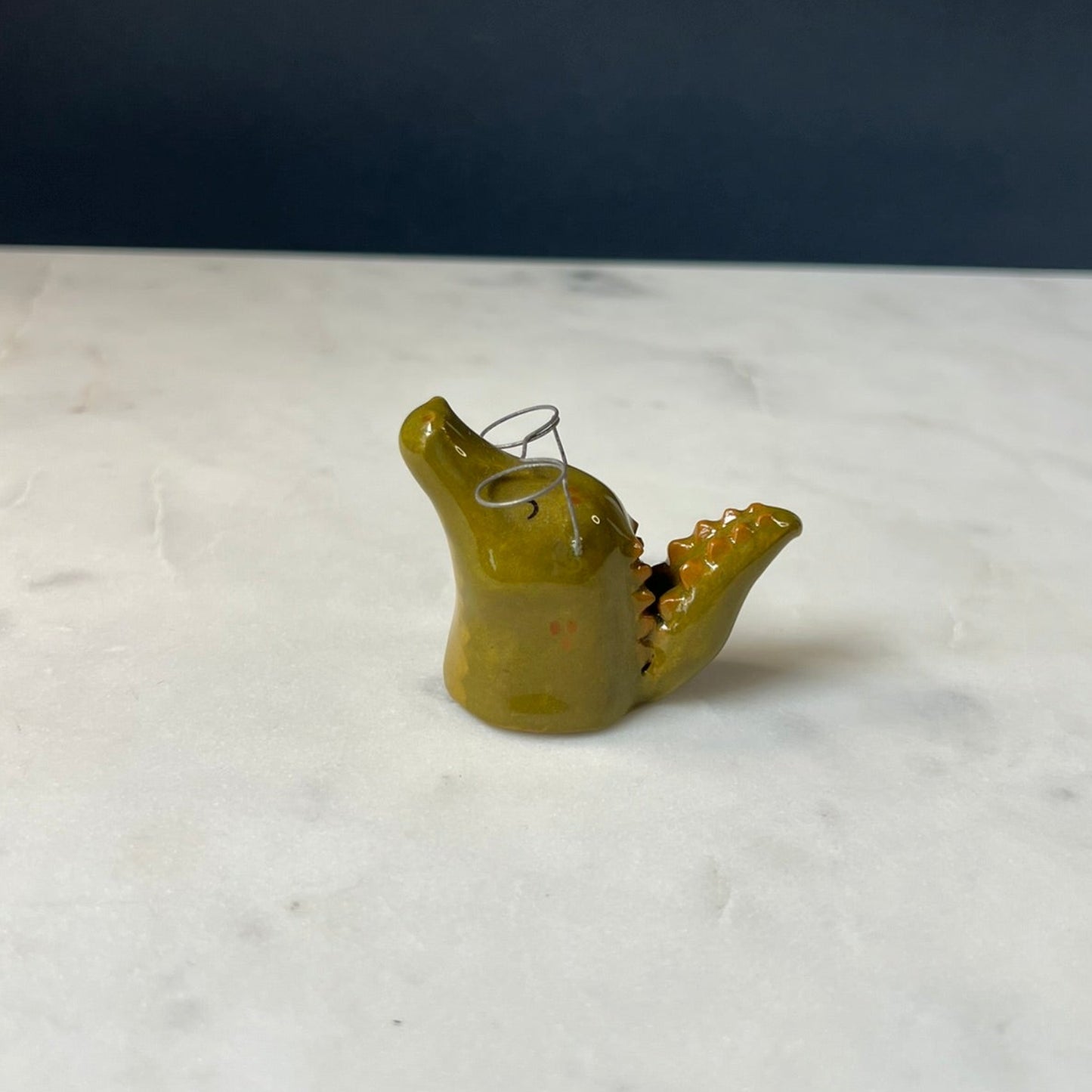 A Well Read Alligator