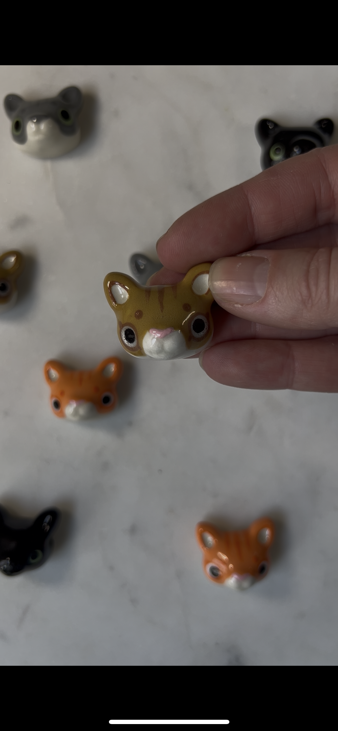 Cat Porcelain Magnet