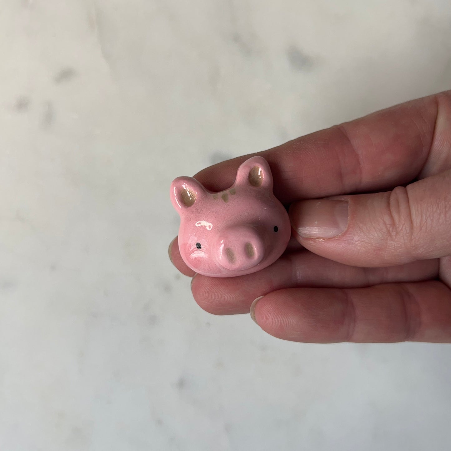 Pig Porcelain Magnet
