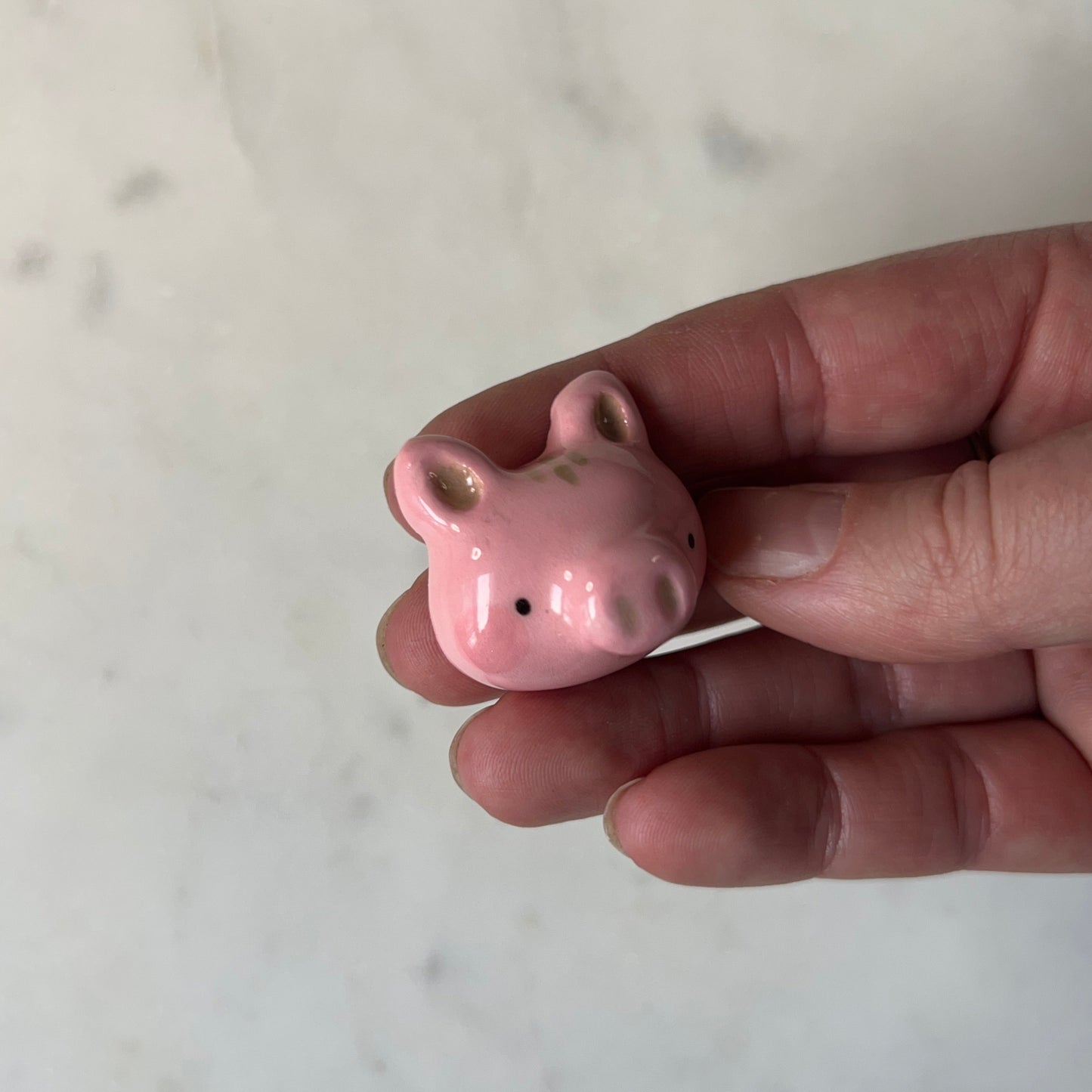 Pig Porcelain Magnet