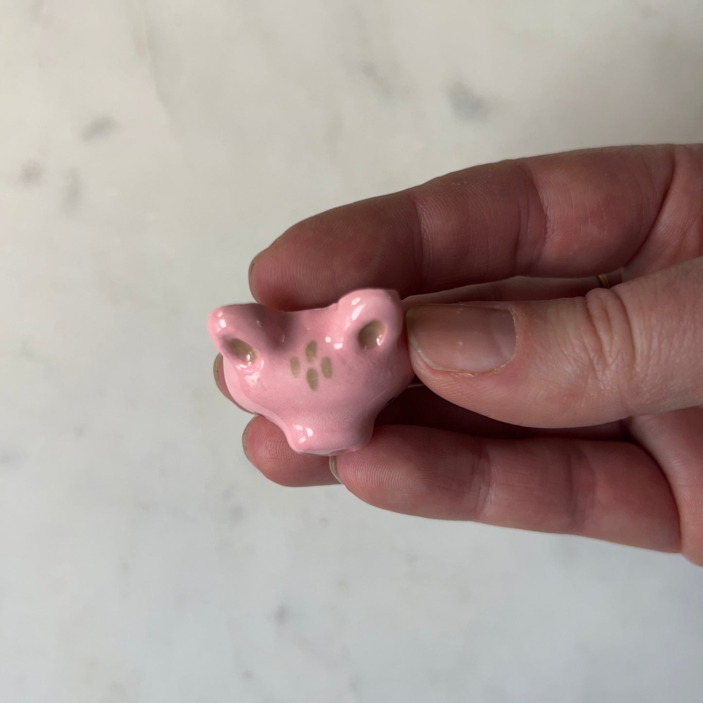 Pig Porcelain Magnet
