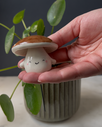 Mushroom Planter Buddies