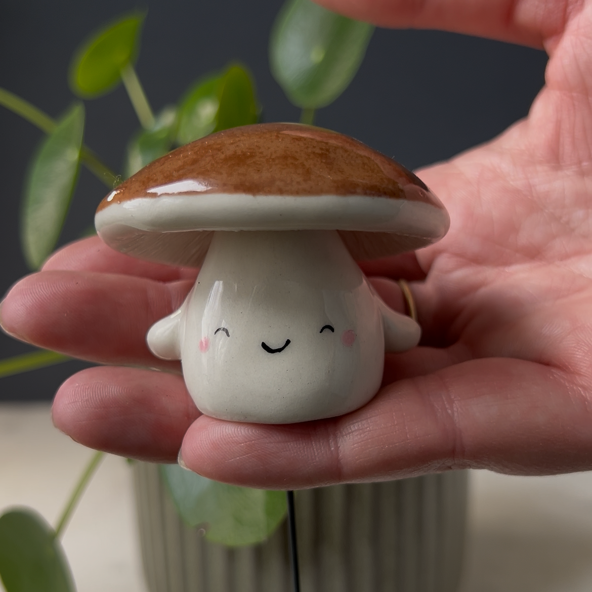 Mushroom Planter Buddies