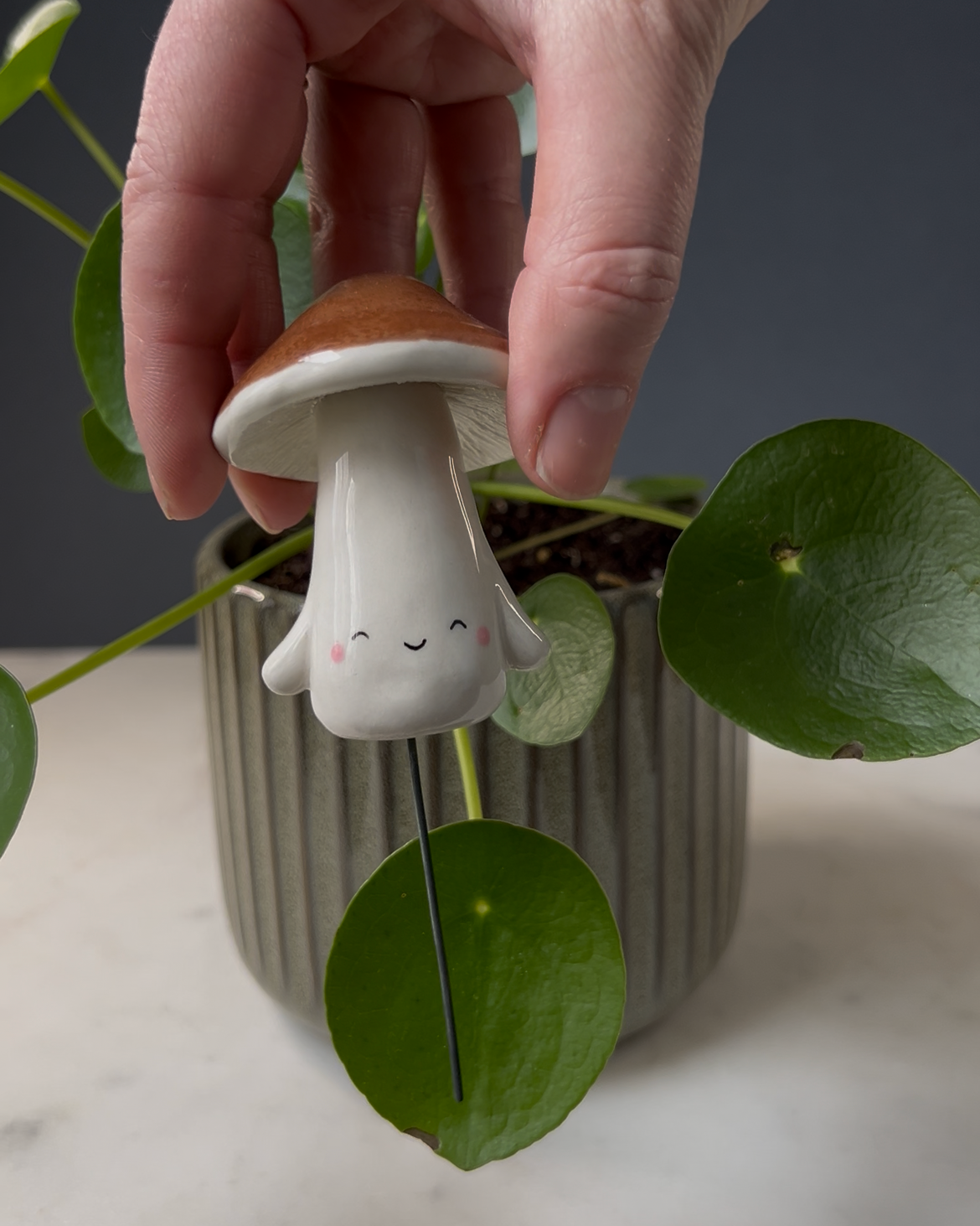 Mushroom Planter Buddies
