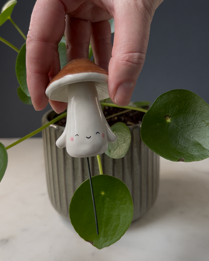 Mushroom Planter Buddies