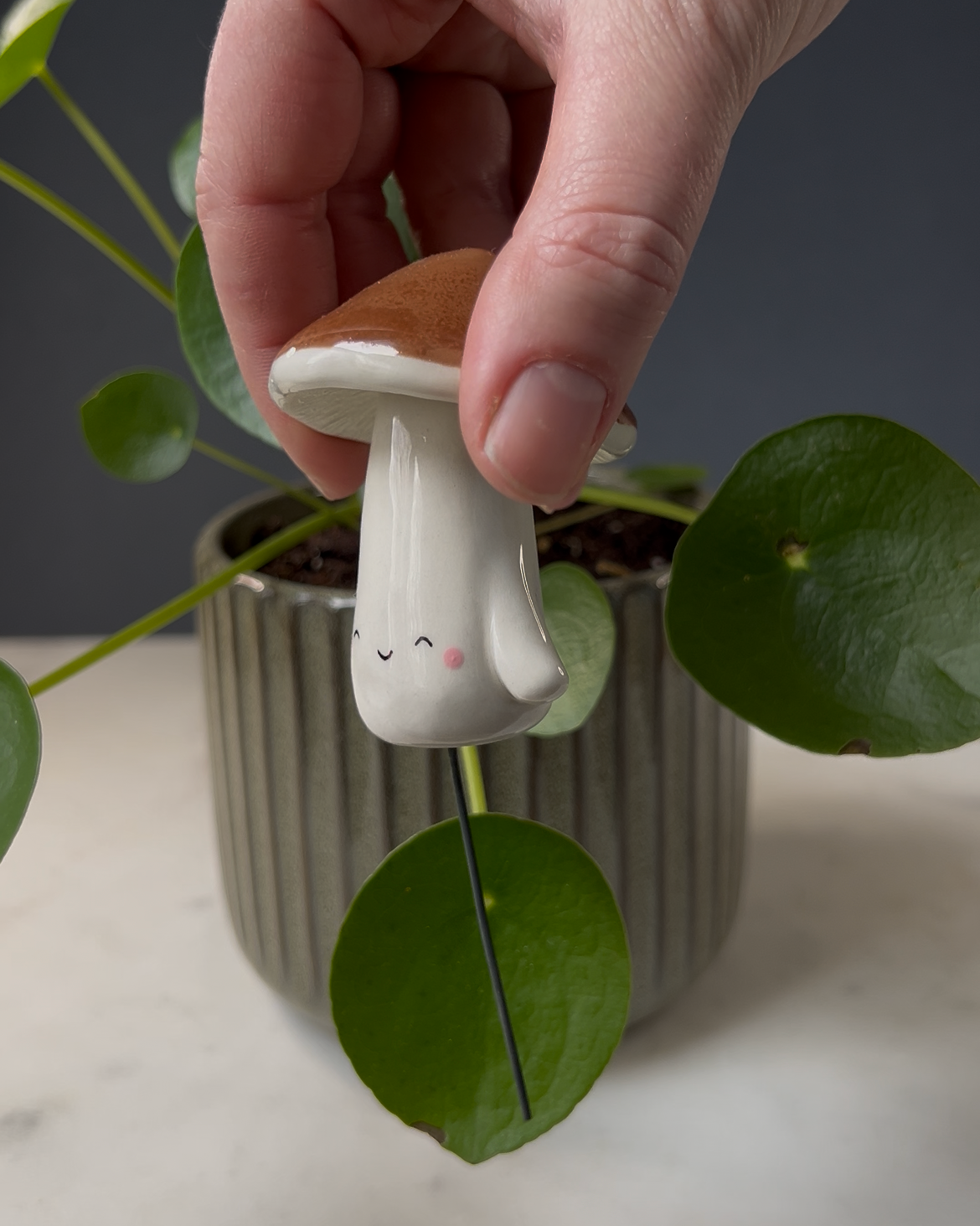 Mushroom Planter Buddies