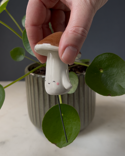 Mushroom Planter Buddies