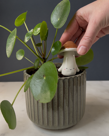 Mushroom Planter Buddies