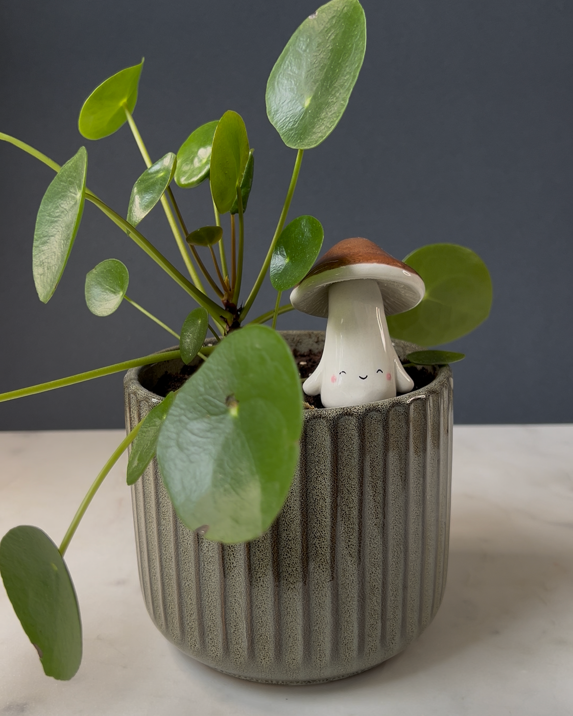 Mushroom Planter Buddies