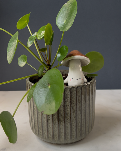 Mushroom Planter Buddies