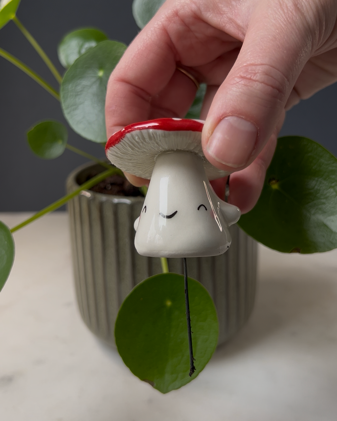 Mushroom Planter Buddies