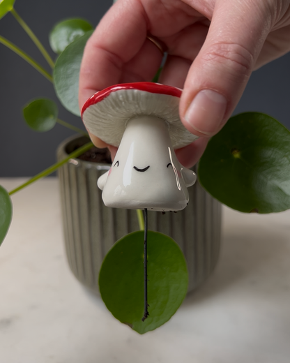 Mushroom Planter Buddies