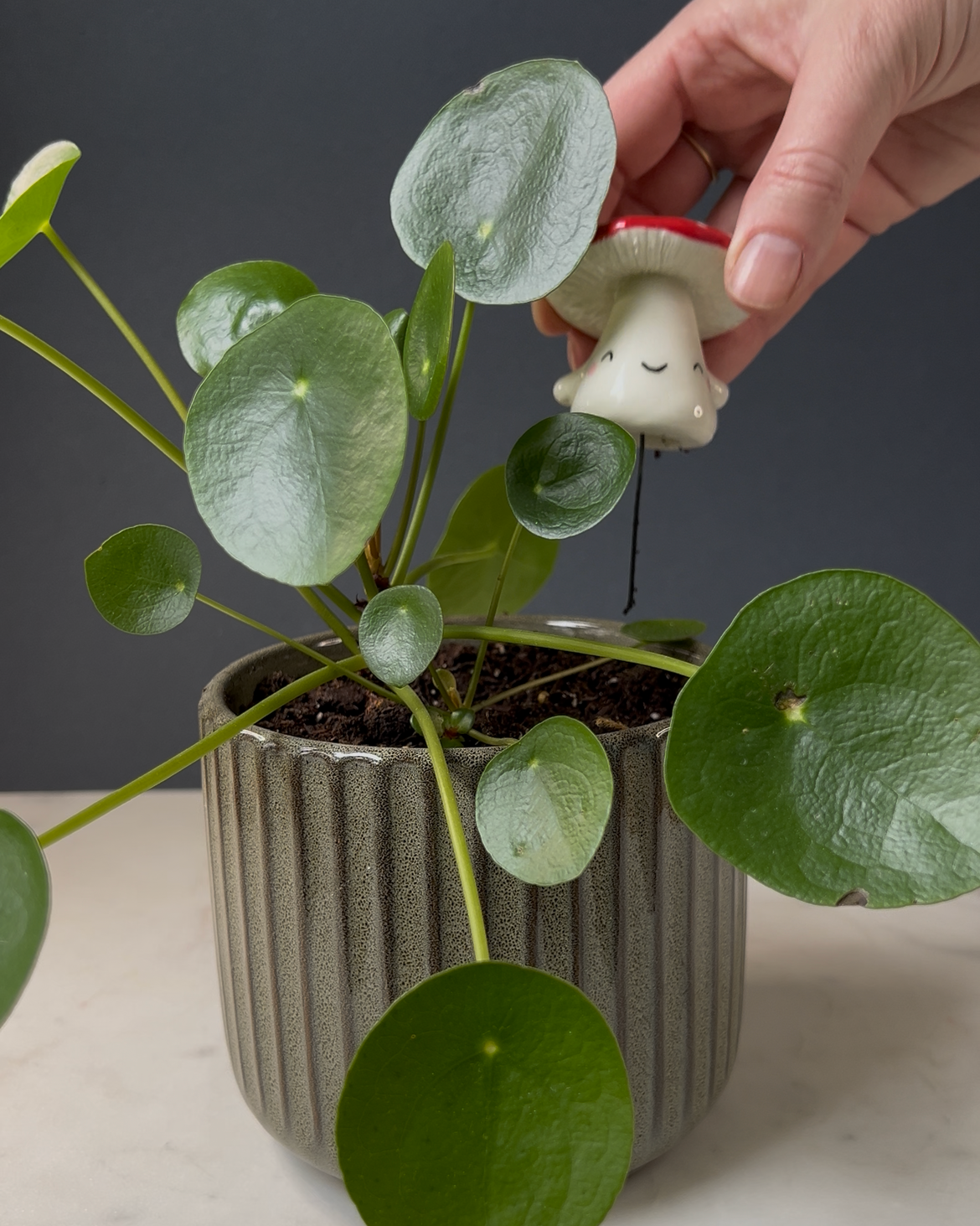 Mushroom Planter Buddies