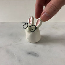 Load image into Gallery viewer, A Well Read Bunny
