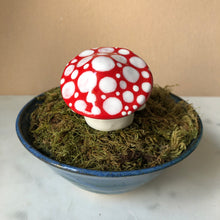 Load image into Gallery viewer, Mushroom Planter Buddies
