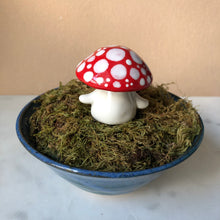 Load image into Gallery viewer, Mushroom Planter Buddies
