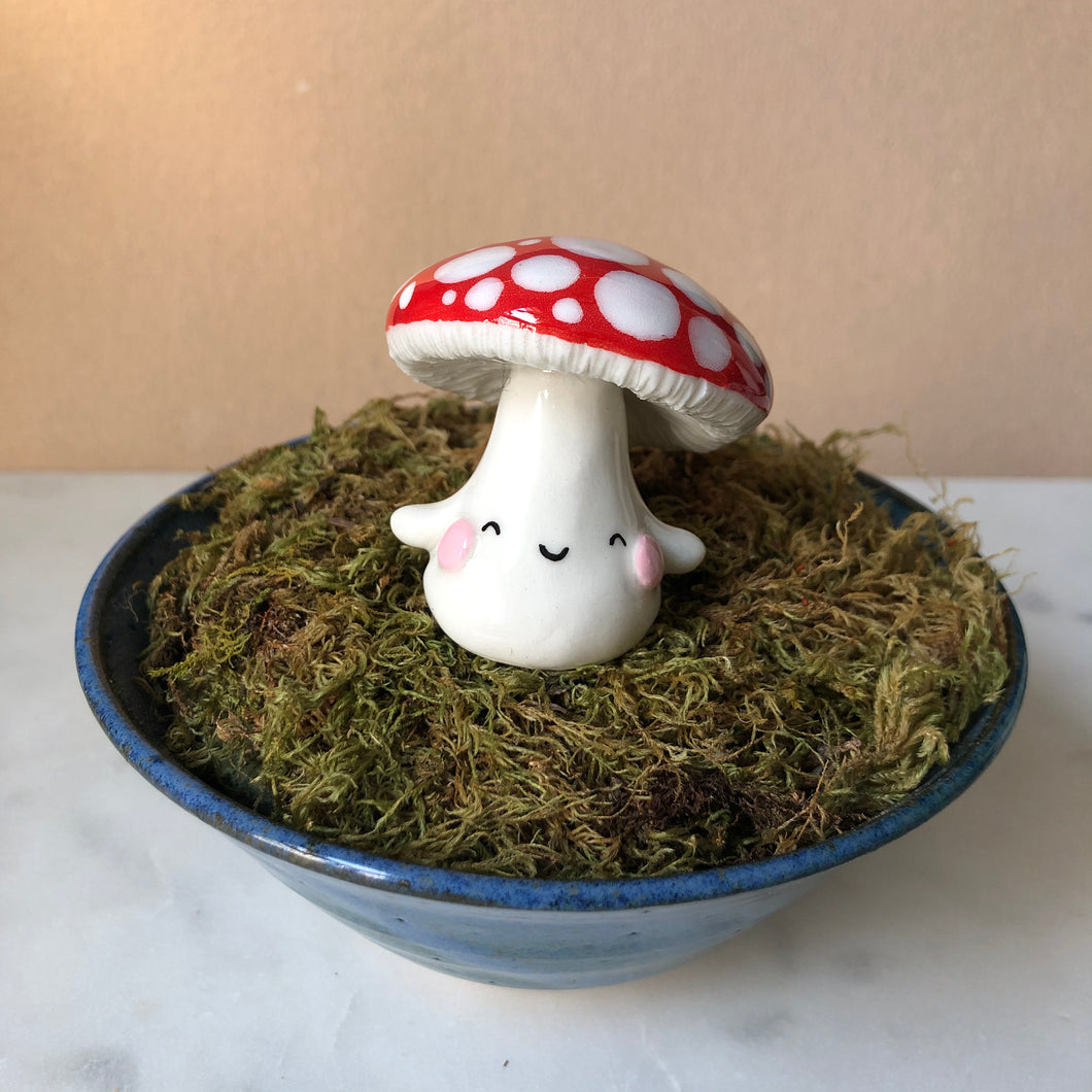 Mushroom Planter Buddies