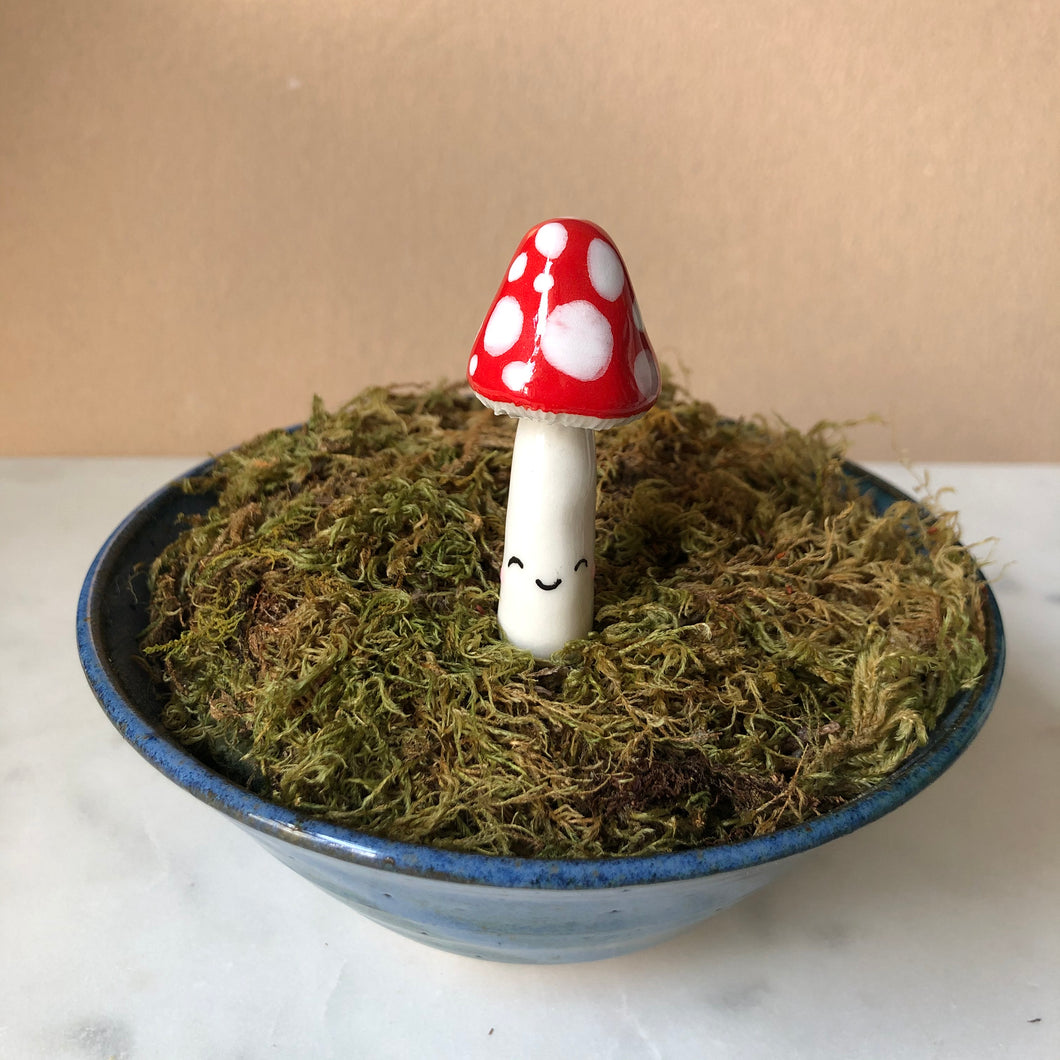 MINI Mushroom Planter Buddies
