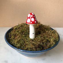 Load image into Gallery viewer, MINI Mushroom Planter Buddies
